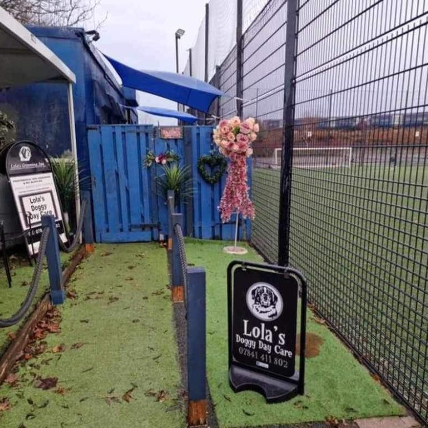 Lola's Doggy Daycare